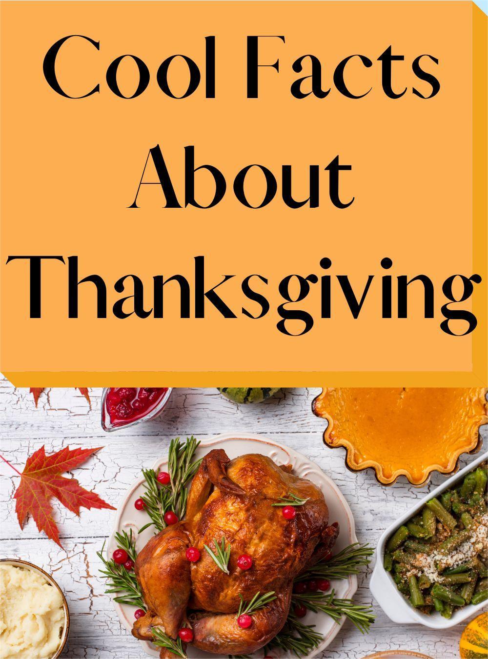Cool Thanksgiving Facts You Probably Never Knew